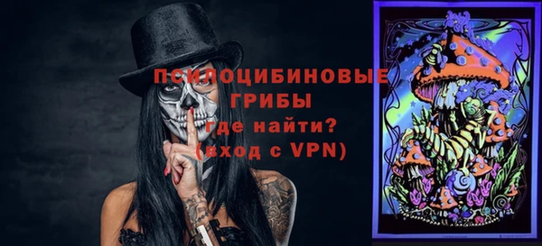 a pvp Алексин