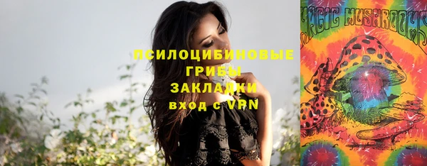 стафф Алексеевка